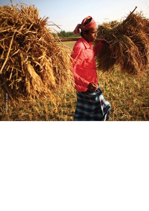 IFAD rural inequalities