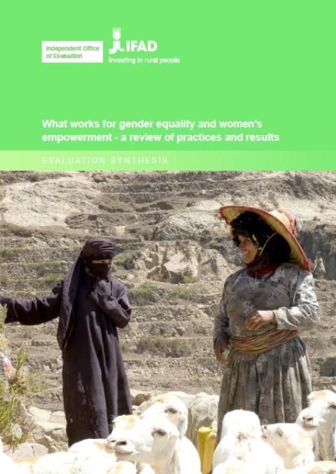 What works for gender equality and women's empowerment 