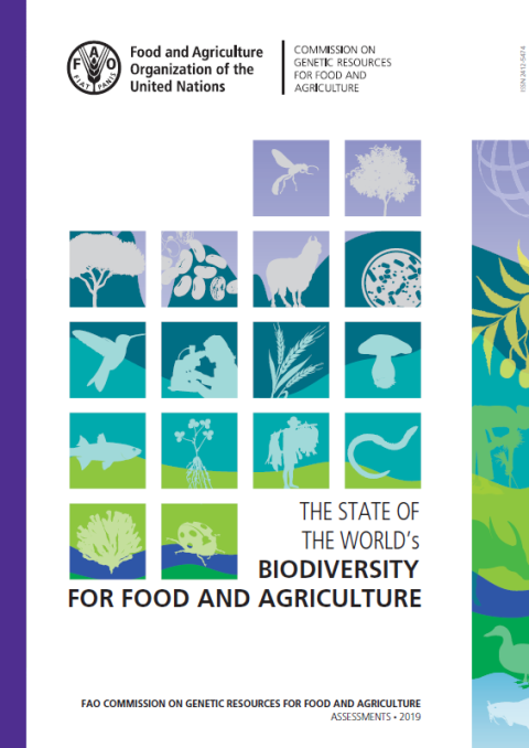 The state of biodiversity