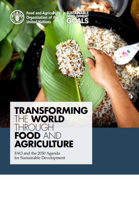 FAO brochure