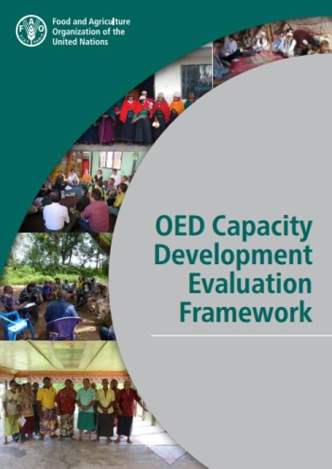  Capacity Development Evaluation Framework