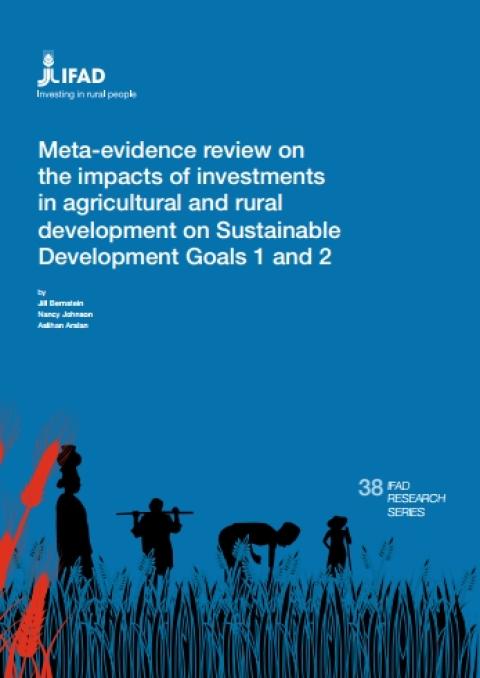 Meta-evidence review on the impacts of investments in agricultural and rural development on Sustainable Development Goals 1 and 2