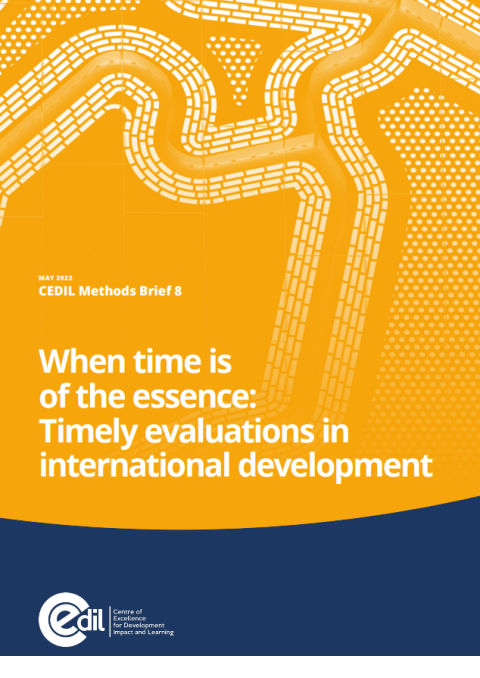 When time is of the essence: Timely evaluations in international development