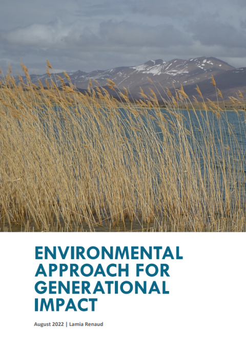 Environmental Approach for Generational Impact