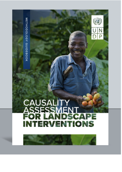 Causality Assessment for Landscape Interventions (CALI)