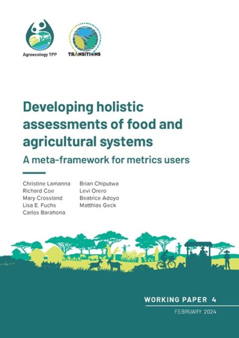Developing holistic assessments of food and agricultural systems A meta-framework for metrics users