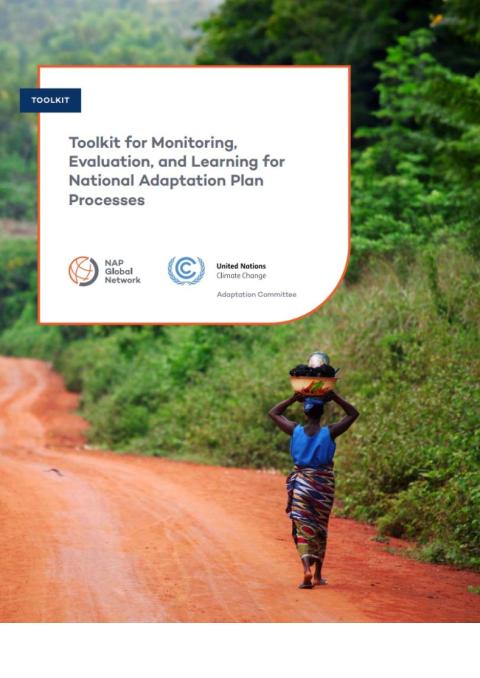 NAP Global Network & Adaptation Committee. International Institute for Sustainable Development.