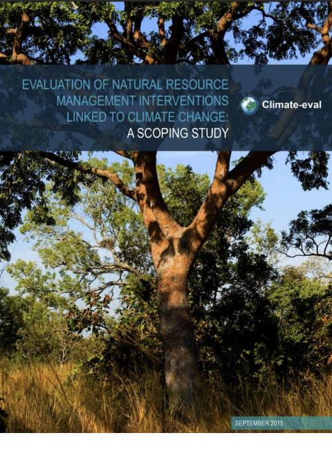 Cover of scoping study by GEF IEO