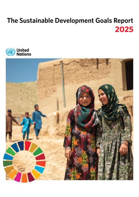 The Sustainable Development Goals Report 2025