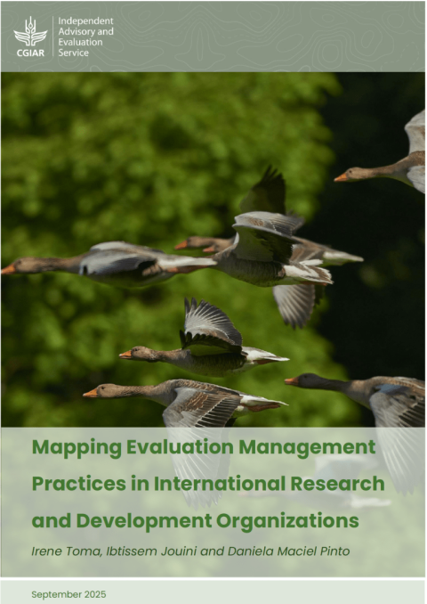 Mapping Evaluation Management Practices