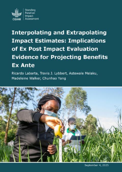 Interpolating and Extrapolating Impact Estimates: