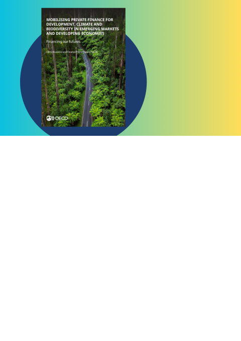 Mobilising private finance for development, climate and biodiversity