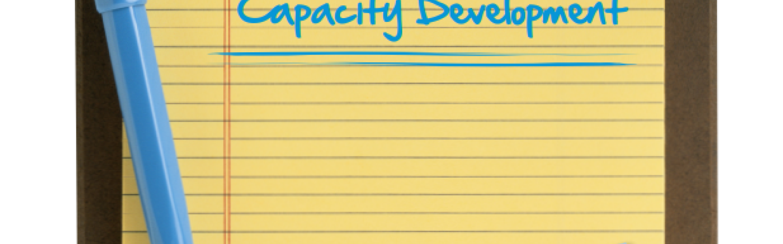 Supporting Evaluation Capacity Development - Tips for Capacity-friendly ...
