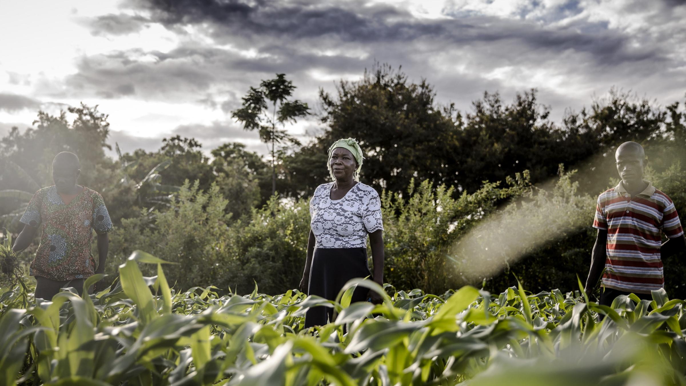 ©FAO/Luis Tato / FAO