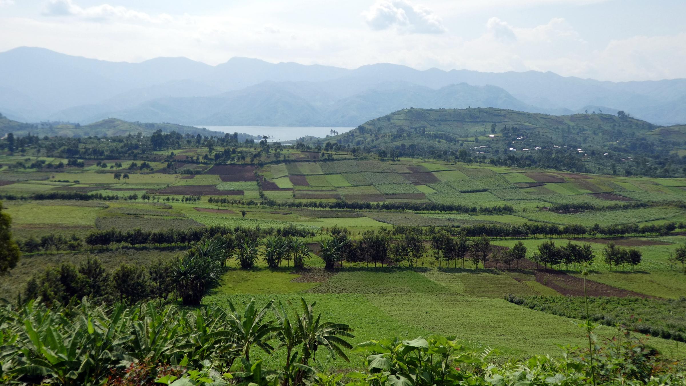 landscape DRC 