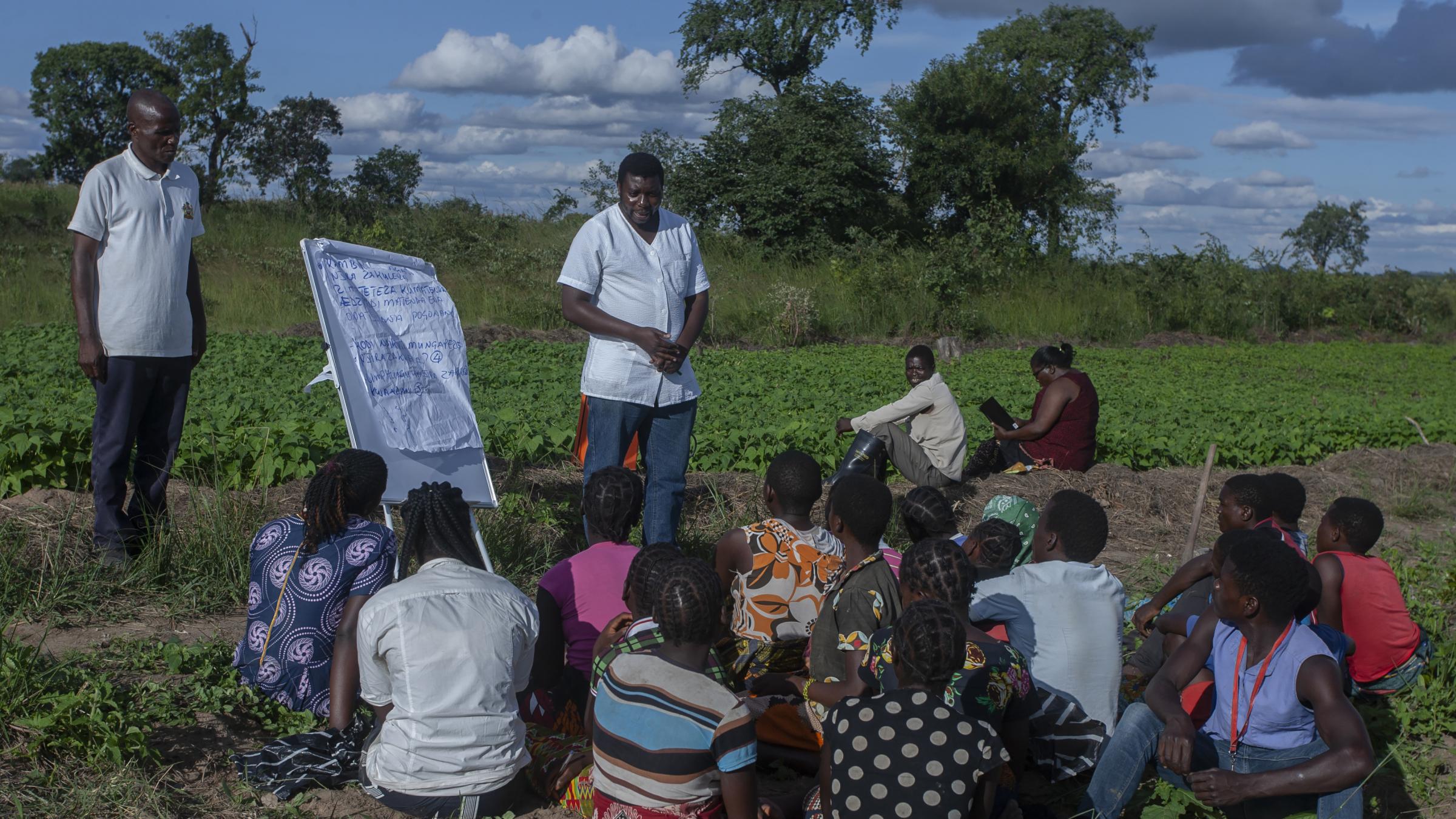 Kaputu Junior Farmer Field and Life School at Mchinji District, Malawi 