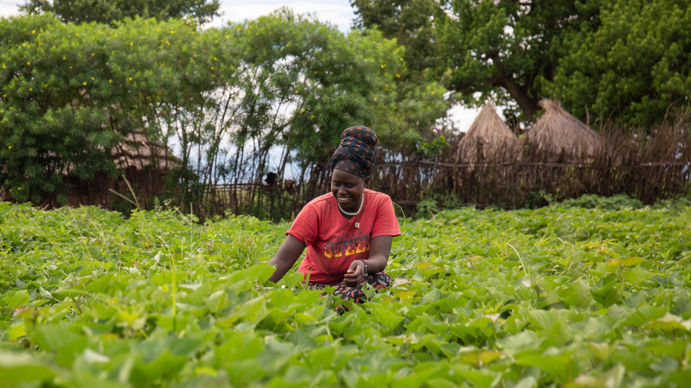 Namalu Farmers Uganda