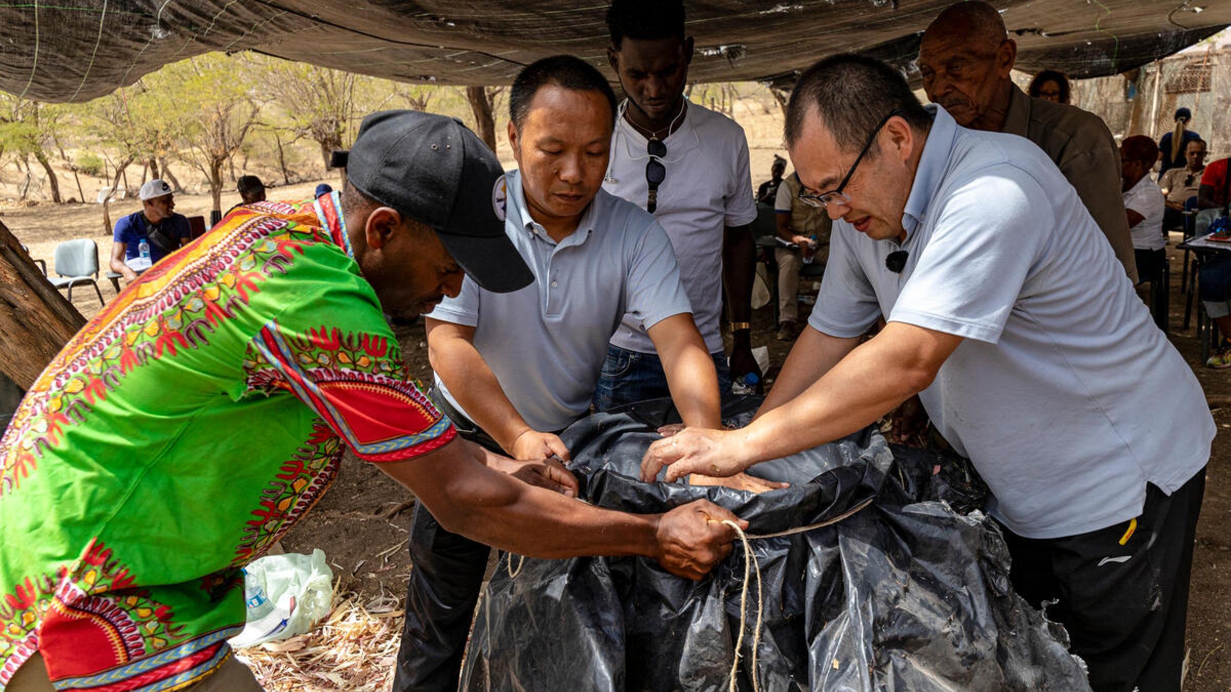 FAO China South-South Cooperation Programme Cabo Verde
