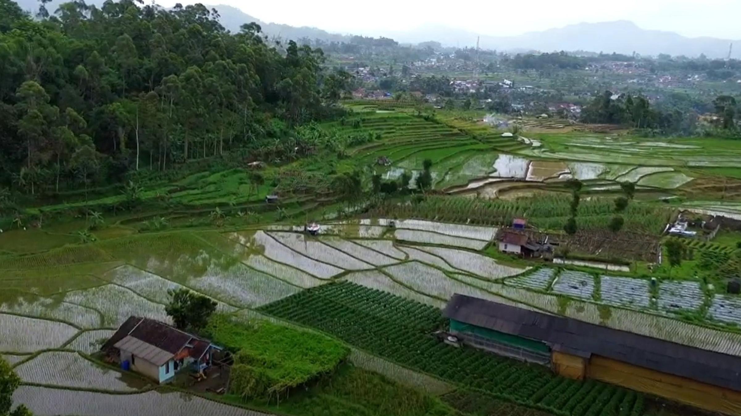 Indonesia