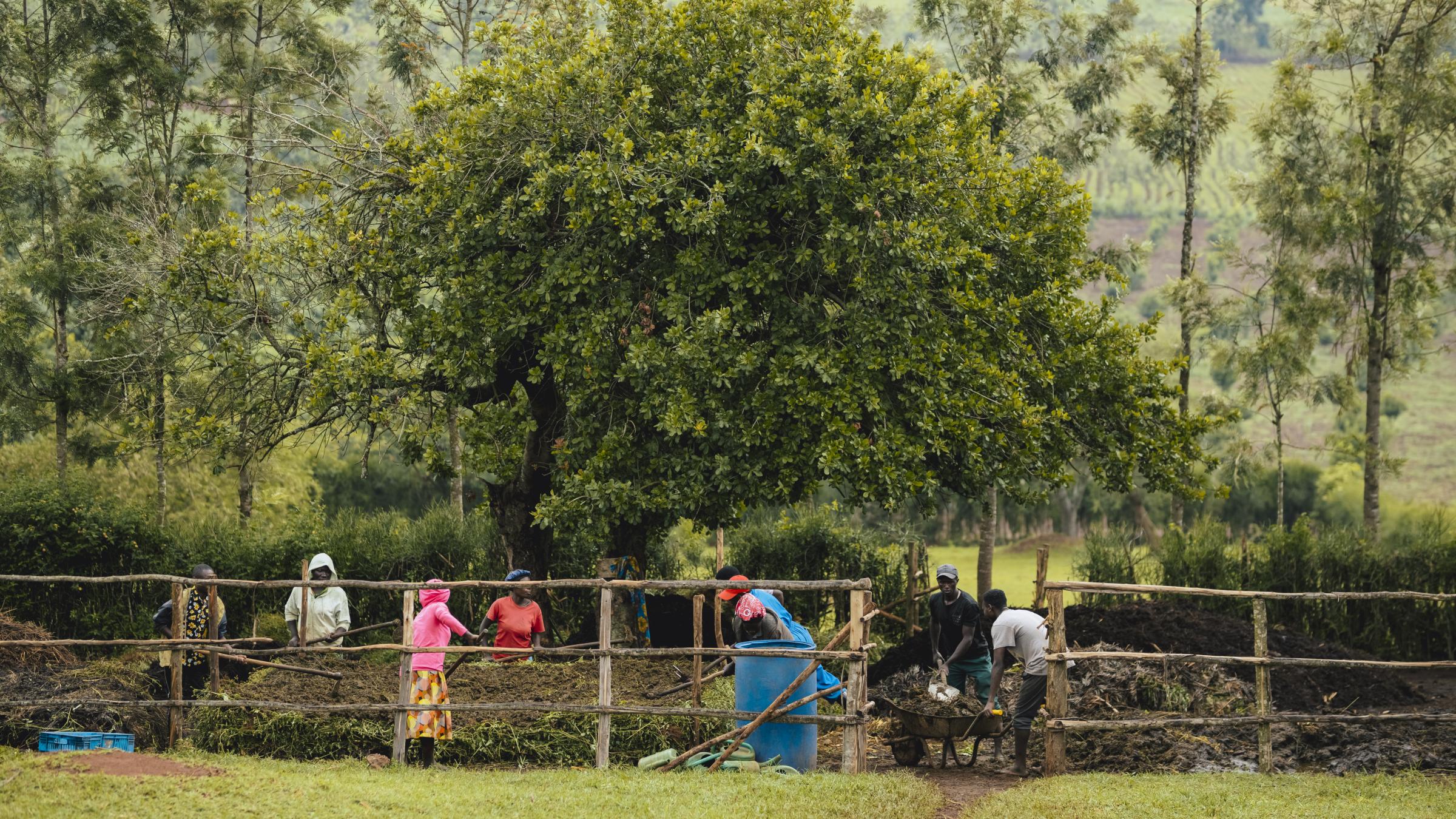 ethinking How We Measure Circular Food Systems