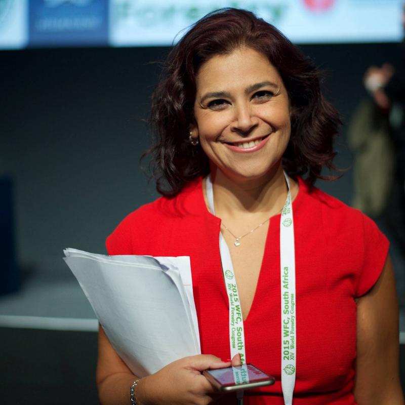 Patricia Sfeir Patricia Sfeir