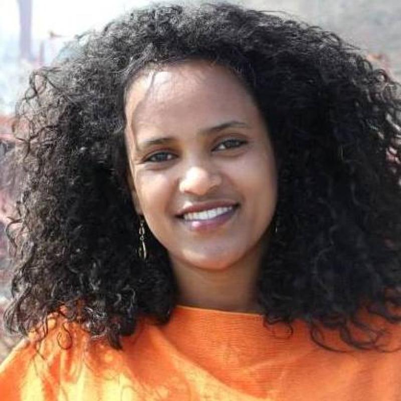 Amleset Haile Abreha Amleset Haile Abreha