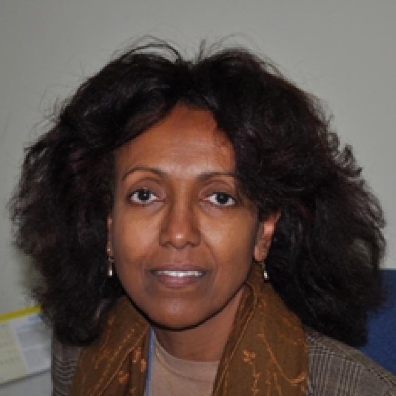 Saba Mebrahtu Habte Saba Mebrahtu Habte