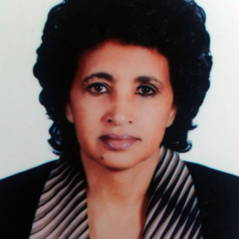 Hadera Gebru Hagos