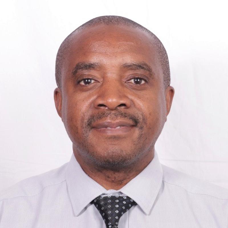Albert M Waudo
