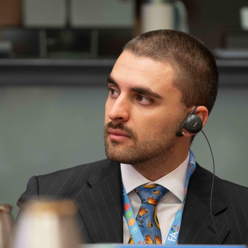 Andrea Ciucci