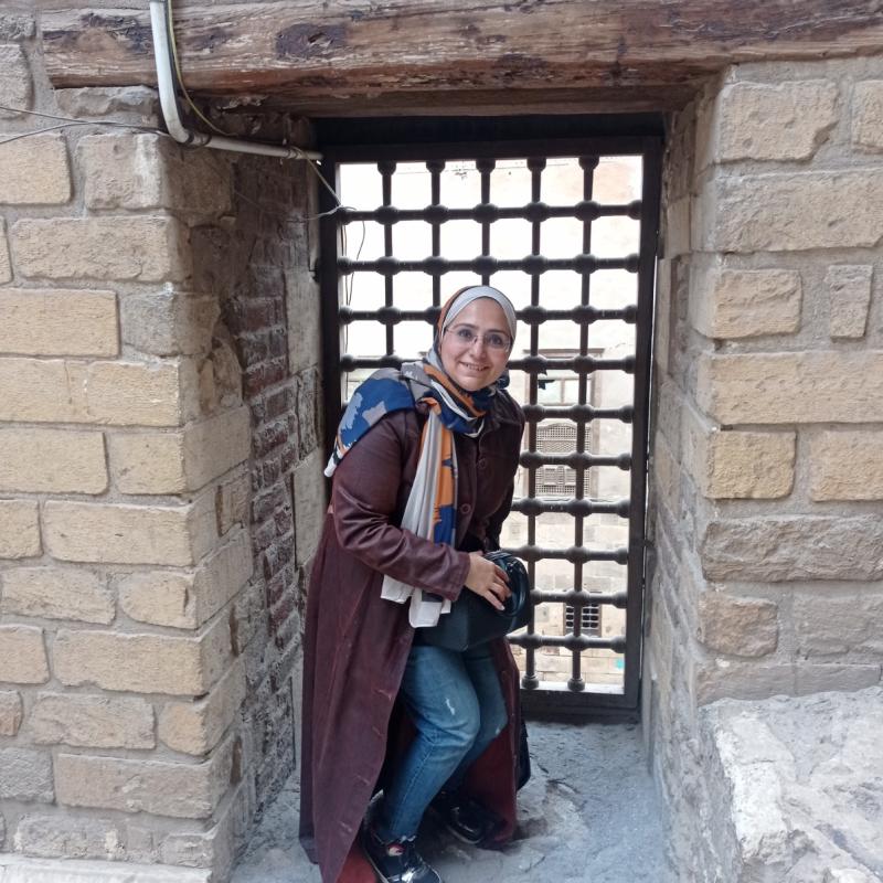omneya gaber mohamed omneya gaber mohamed