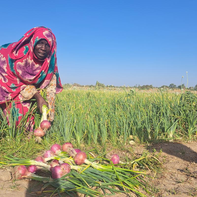NGARGOLDJI SINGANODJI