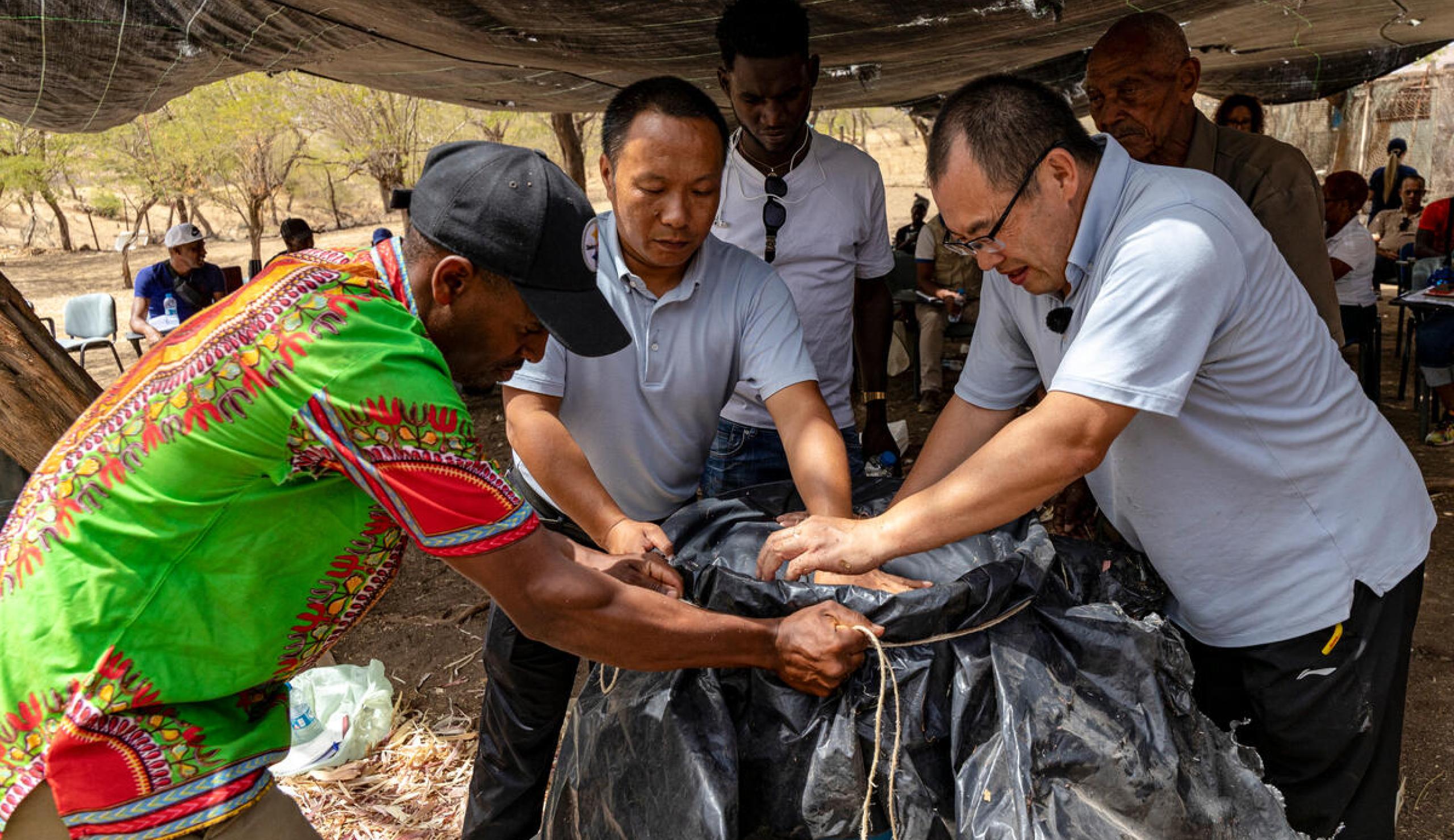 FAO China South-South Cooperation Programme Cabo Verde
