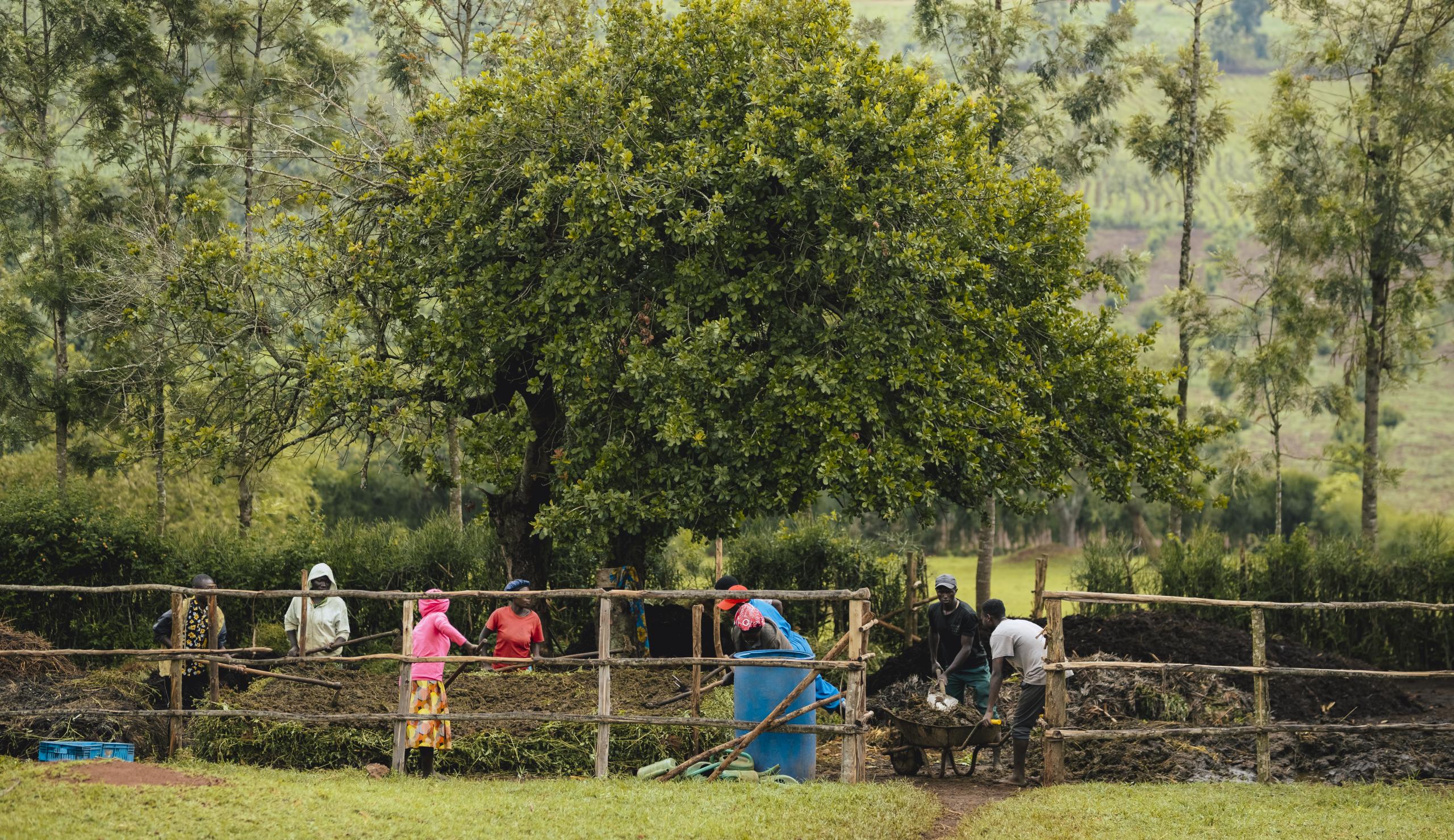 ethinking How We Measure Circular Food Systems